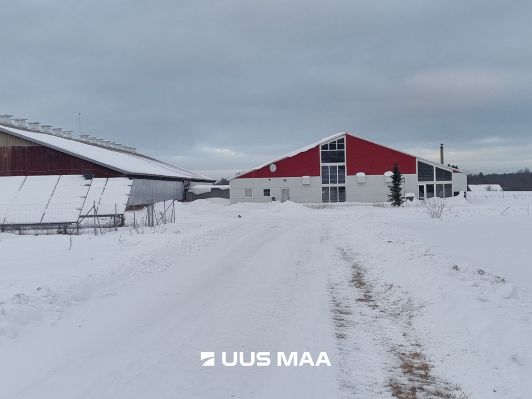 Vinni vald, Põlula küla, Põlula farm