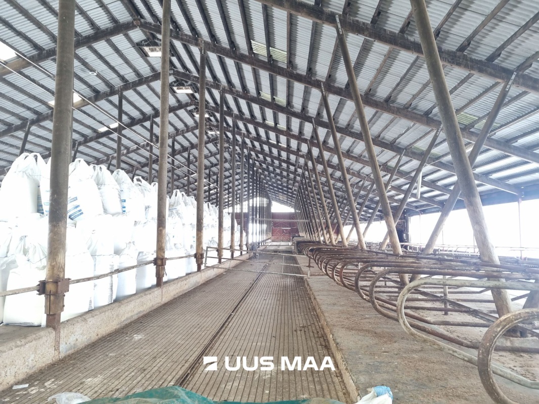 Vinni vald, Põlula küla, Põlula farm