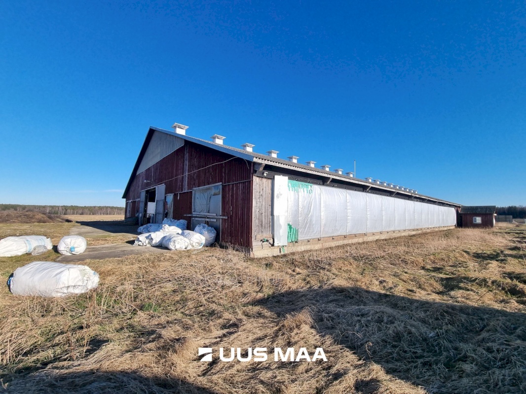 Vinni vald, Põlula küla, Põlula farm