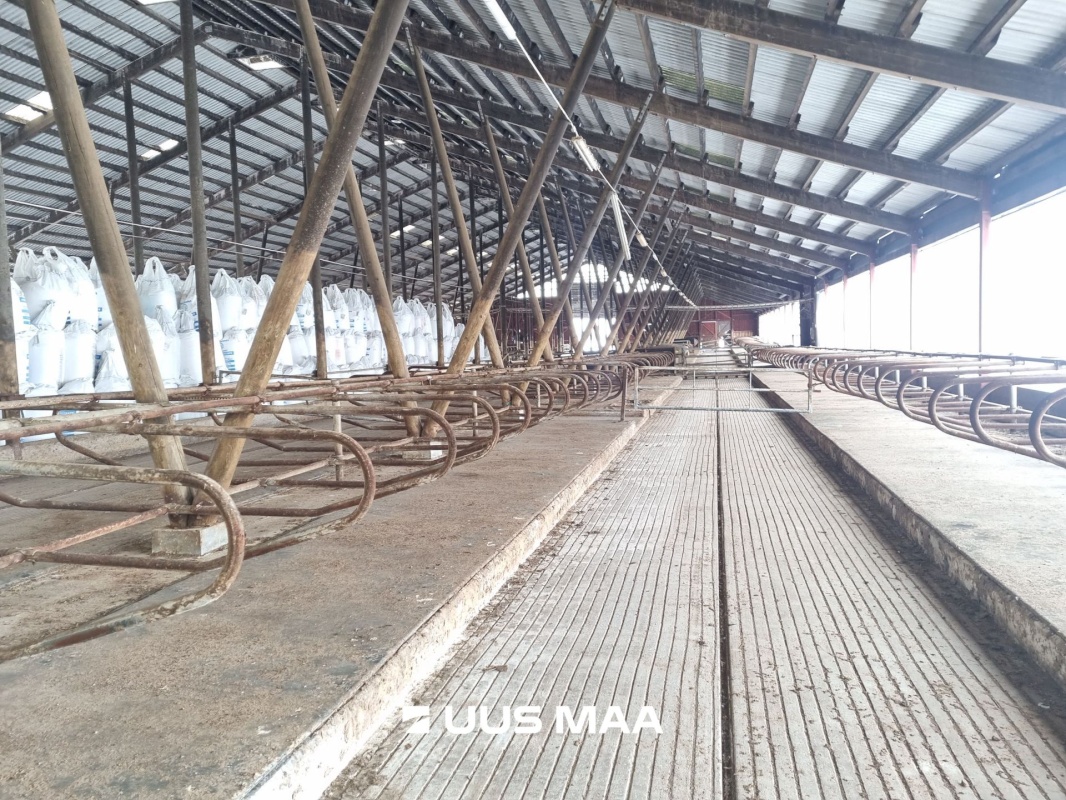 Vinni vald, Põlula küla, Põlula farm