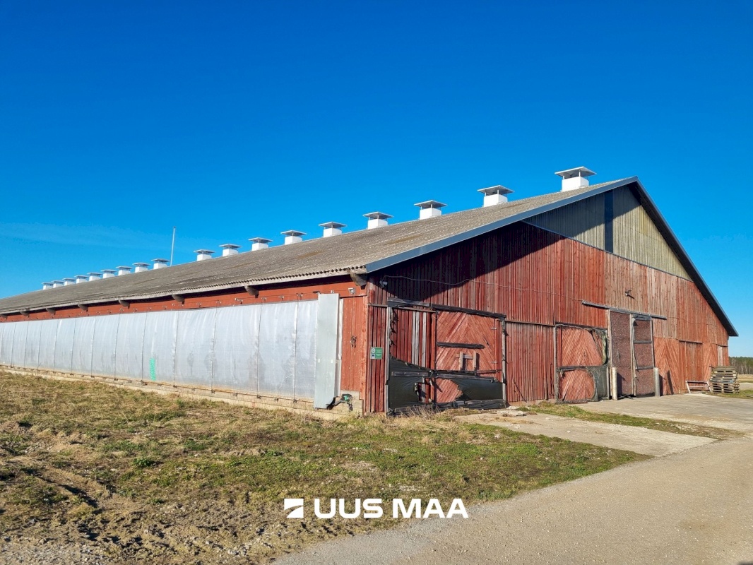 Vinni vald, Põlula küla, Põlula farm