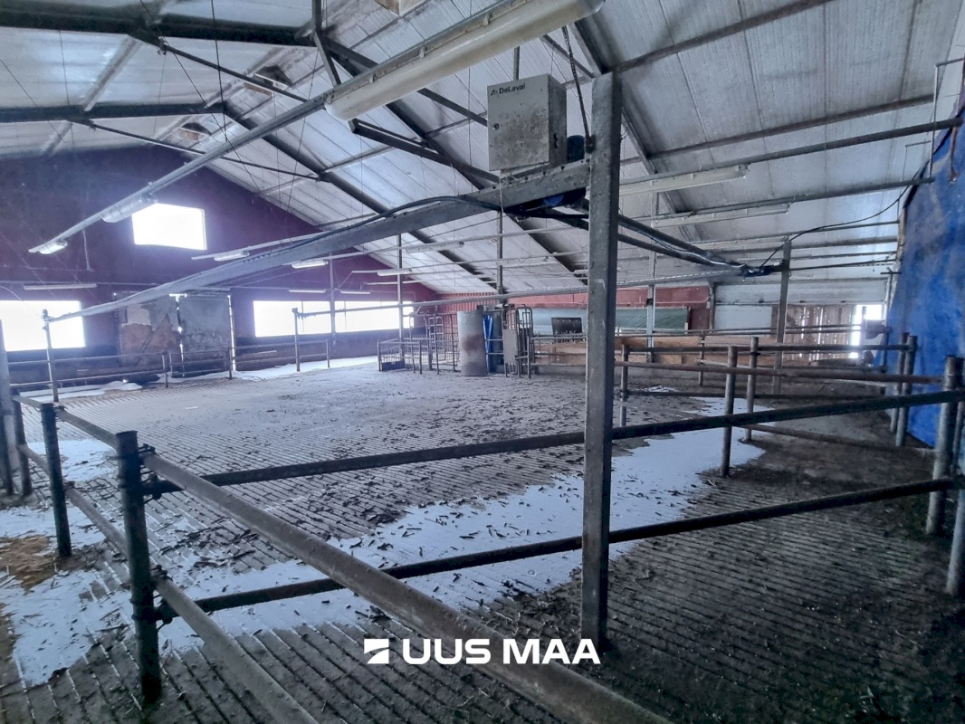 Vinni vald, Põlula küla, Põlula farm