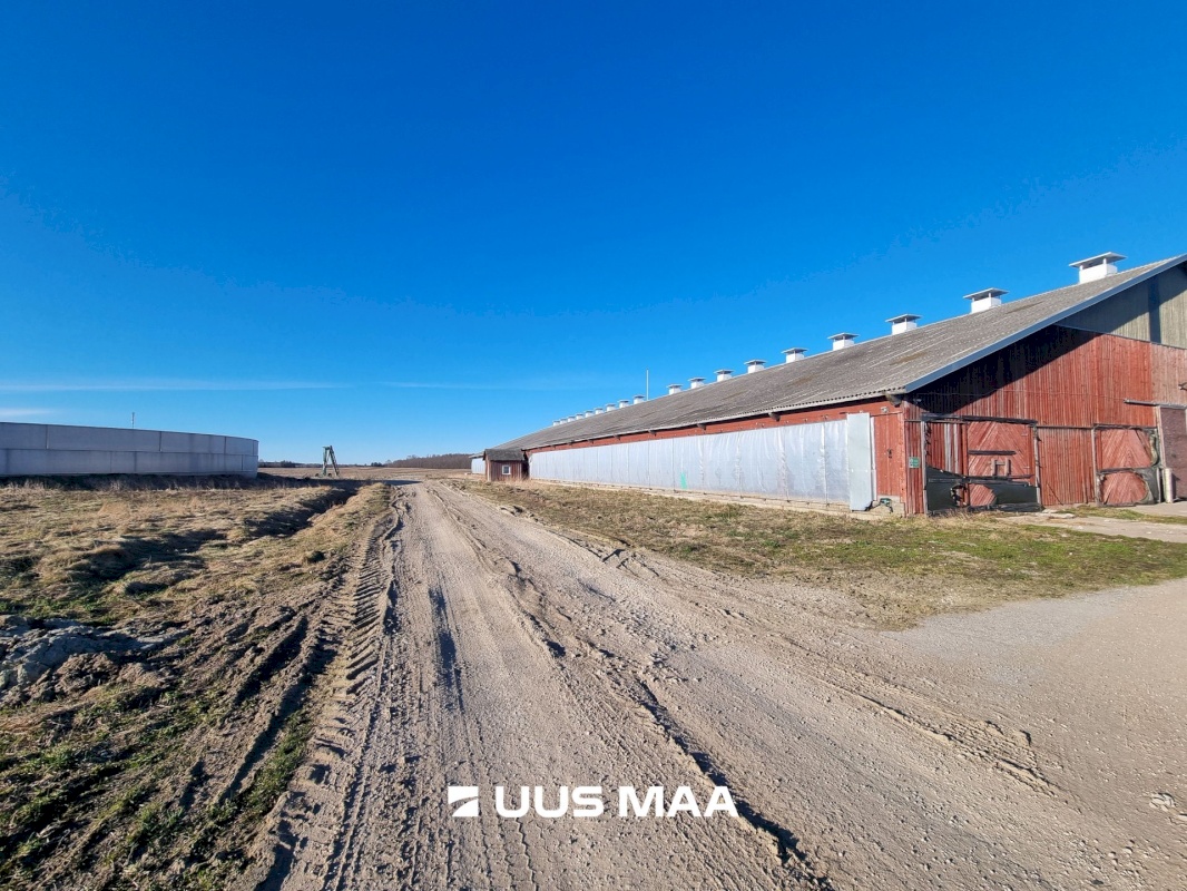 Vinni vald, Põlula küla, Põlula farm