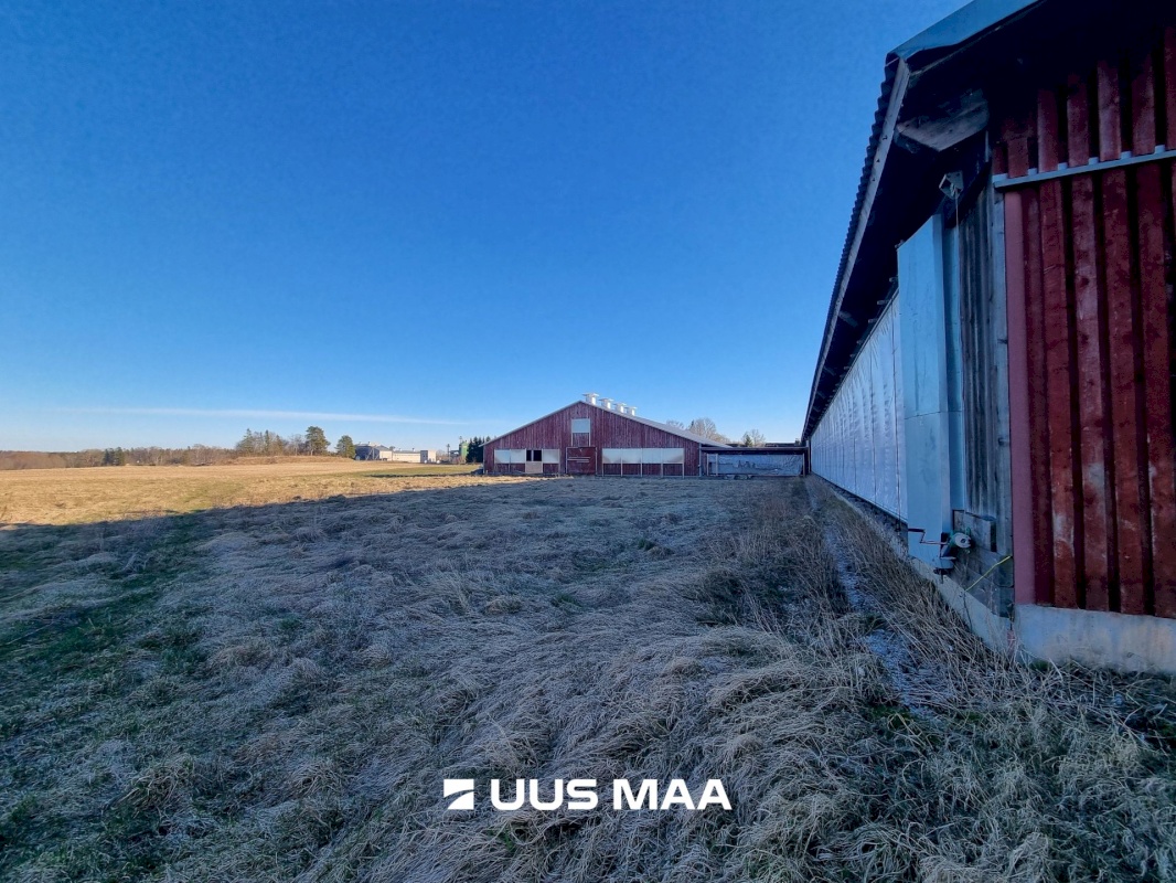 Vinni vald, Põlula küla, Põlula farm