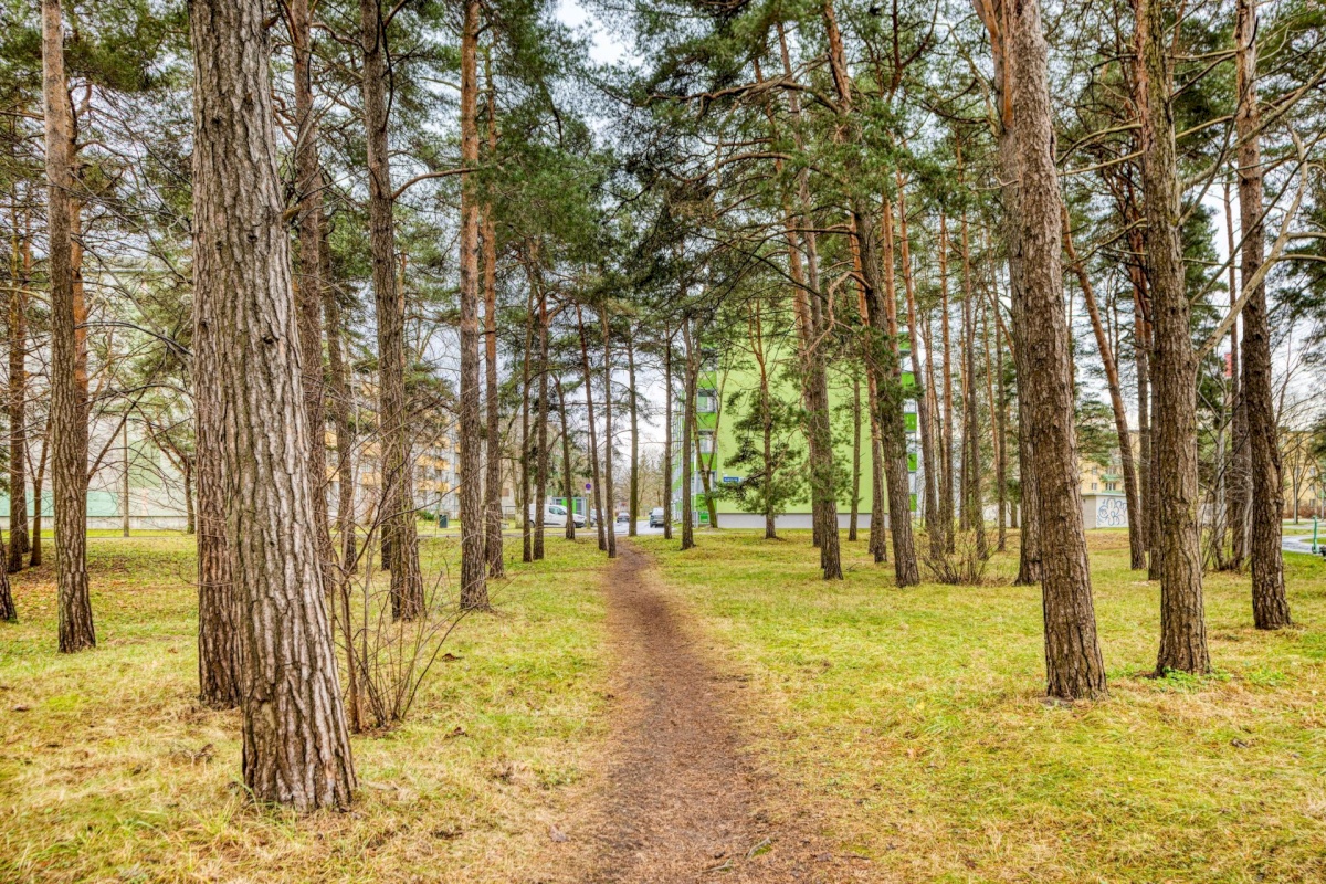 Tallinn, Mustamäe linnaosa, Kadaka, Kadaka tee 165