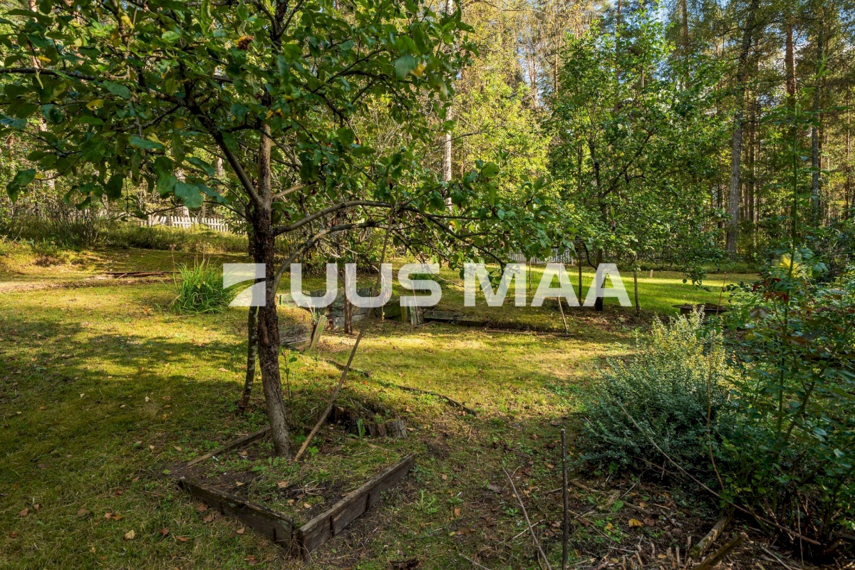 Võru linn, Männiku 53