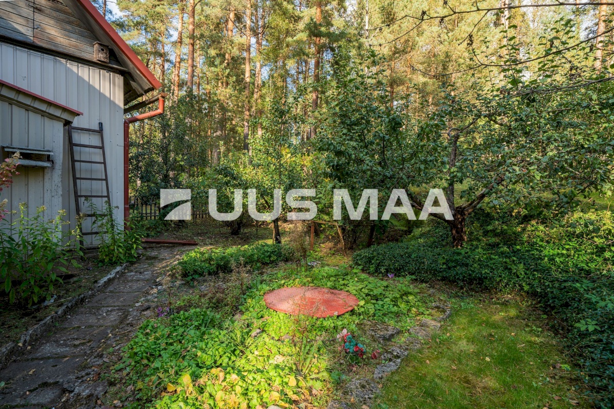 Võru linn, Männiku 53