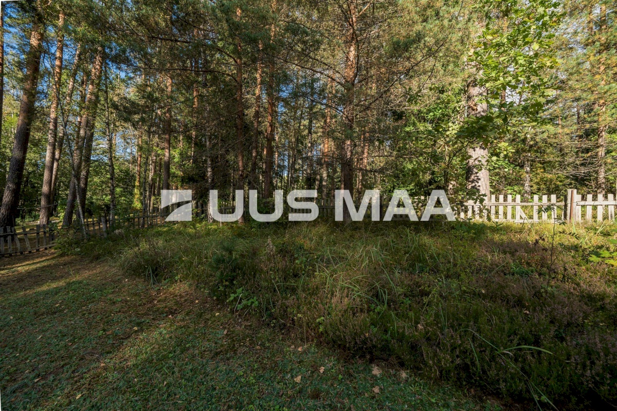 Võru linn, Männiku 53