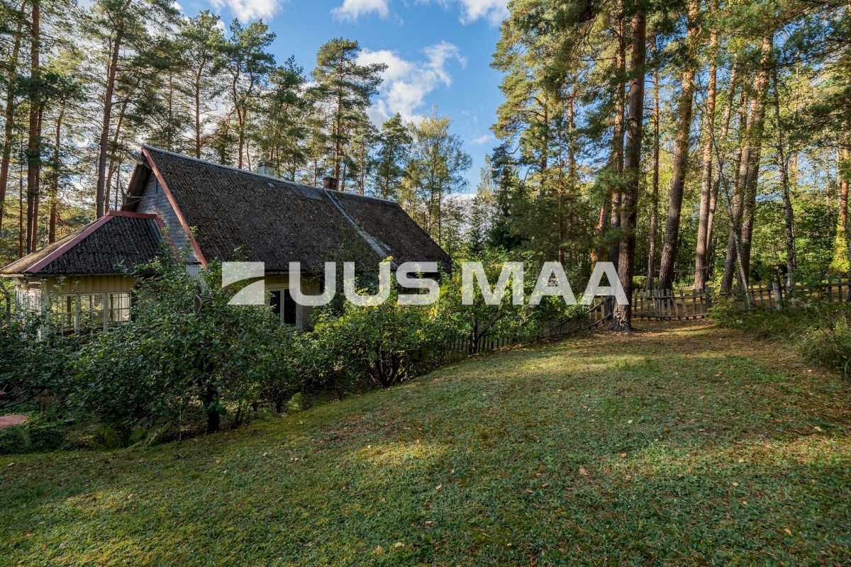 Võru linn, Männiku 53