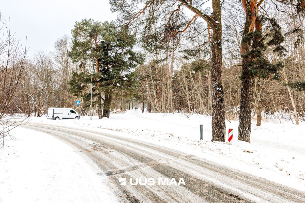 Tallinn, Pirita linnaosa, Maarjamäe, Haljas tee 22