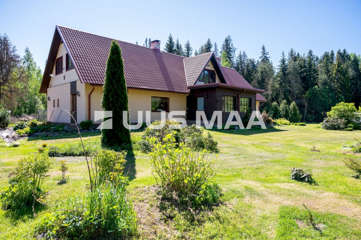 Anija vald, Pillapalu küla, Punamäe