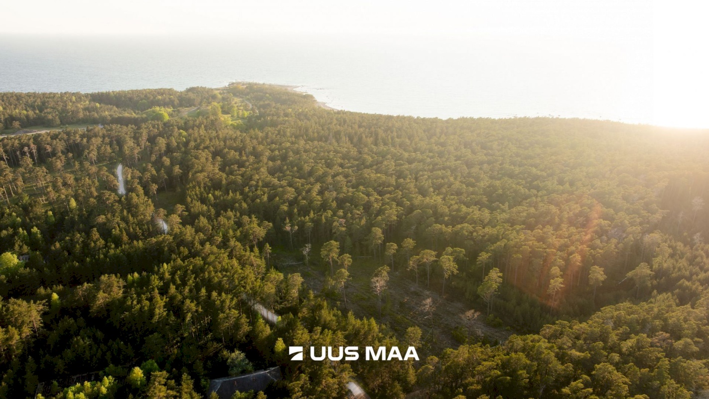 Hiiumaa vald, Kalana küla, Laine