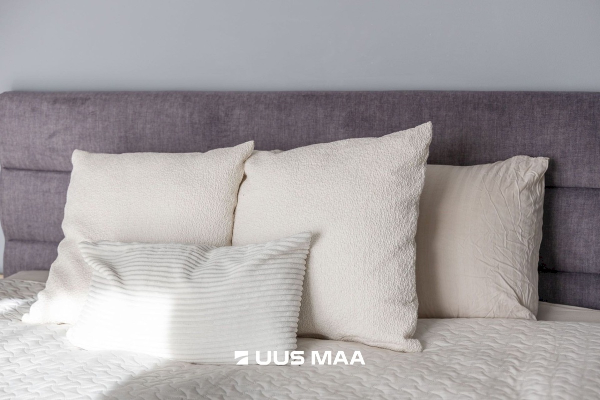 Tartu linn, Tartu linn, Ränilinn, Kristalli 7