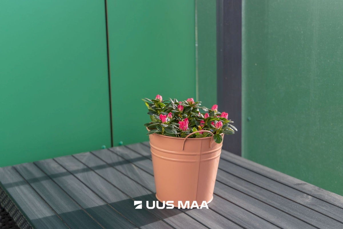 Tartu linn, Tartu linn, Ränilinn, Kristalli 7