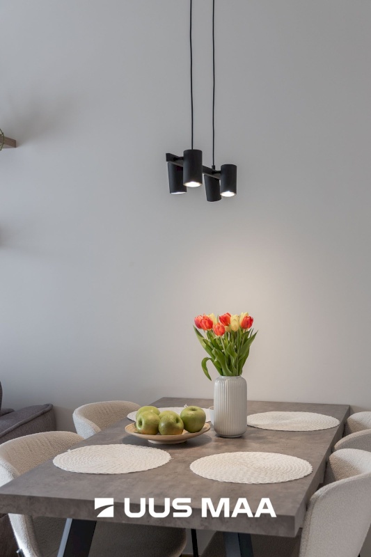 Tartu linn, Tartu linn, Ränilinn, Kristalli 7