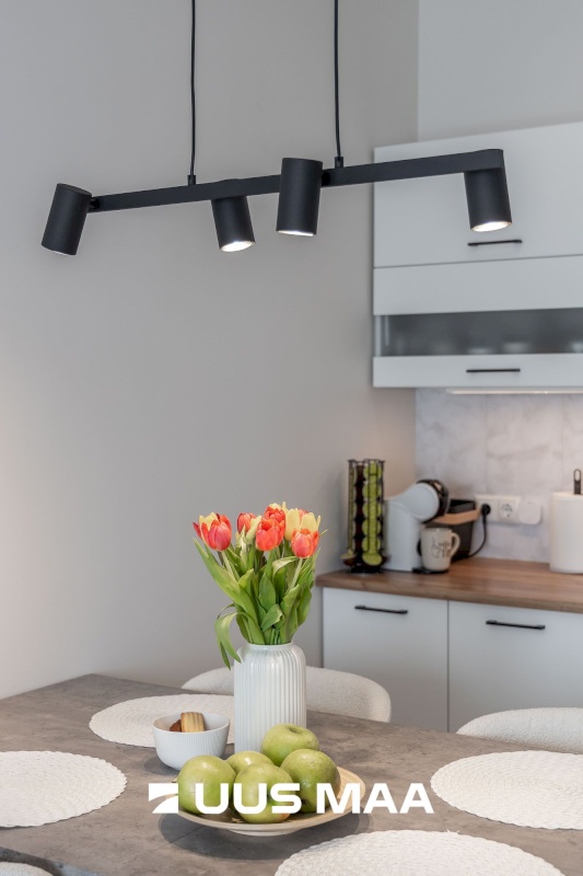 Tartu linn, Tartu linn, Ränilinn, Kristalli 7