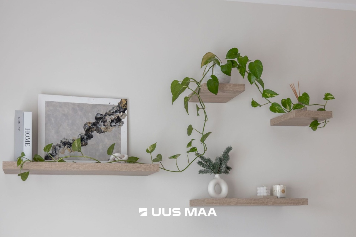 Tartu linn, Tartu linn, Ränilinn, Kristalli 7