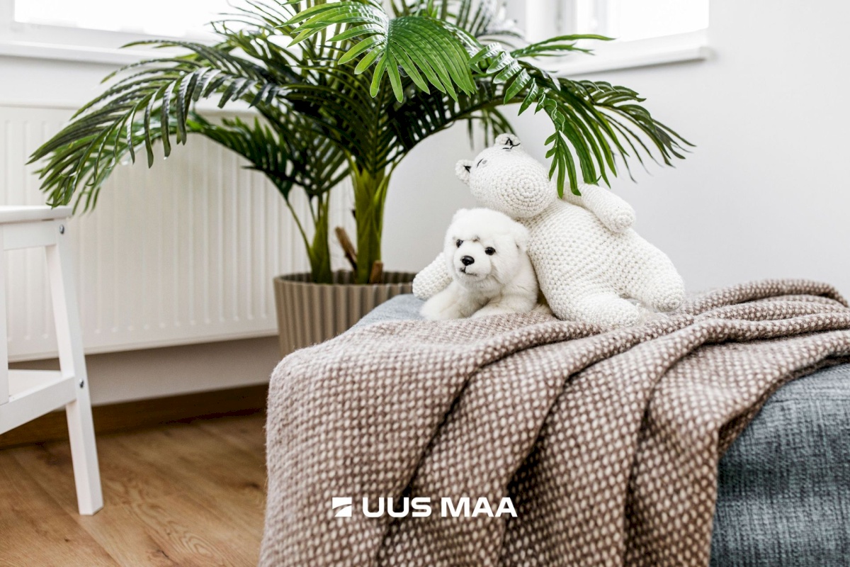 Rae vald, Peetri alevik, Uusmaa tee 8