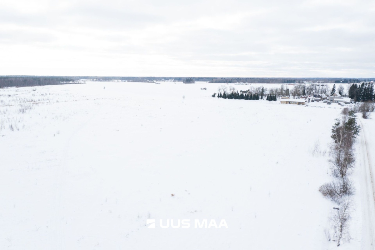 Saku vald, Tänassilma küla, Vainu põik 12