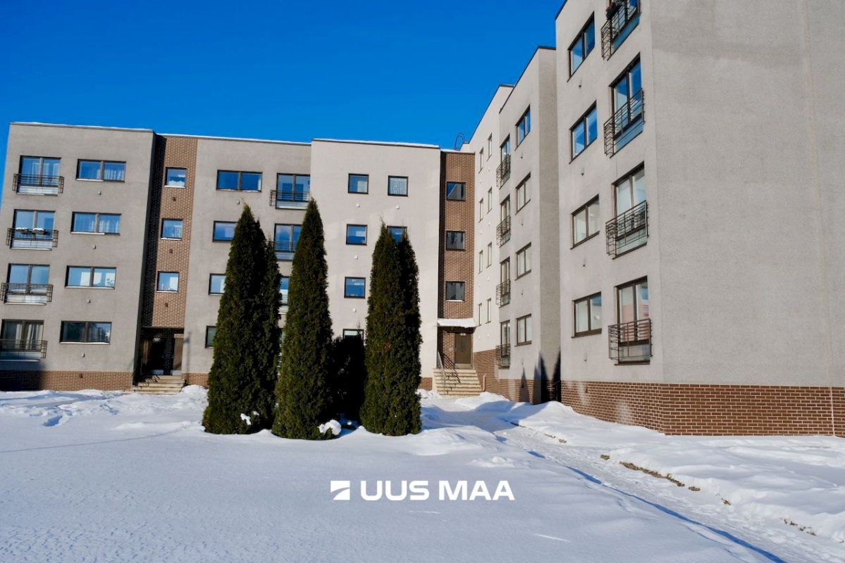 Paide linn, Paide linn, soo 22