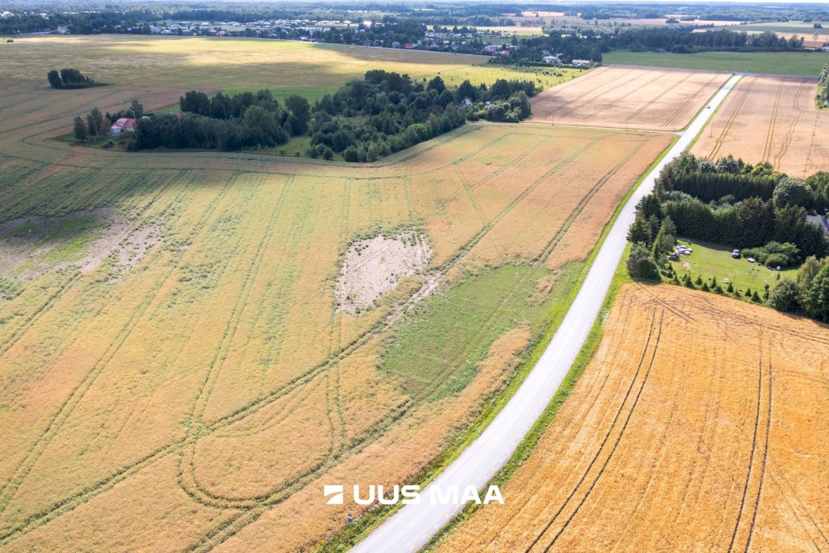 Saue vald, Vanamõisa küla, Suurevälja tee