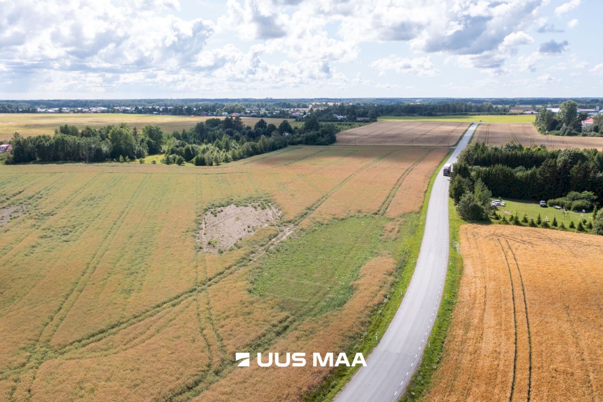 Saue vald, Vanamõisa küla, Suurevälja tee