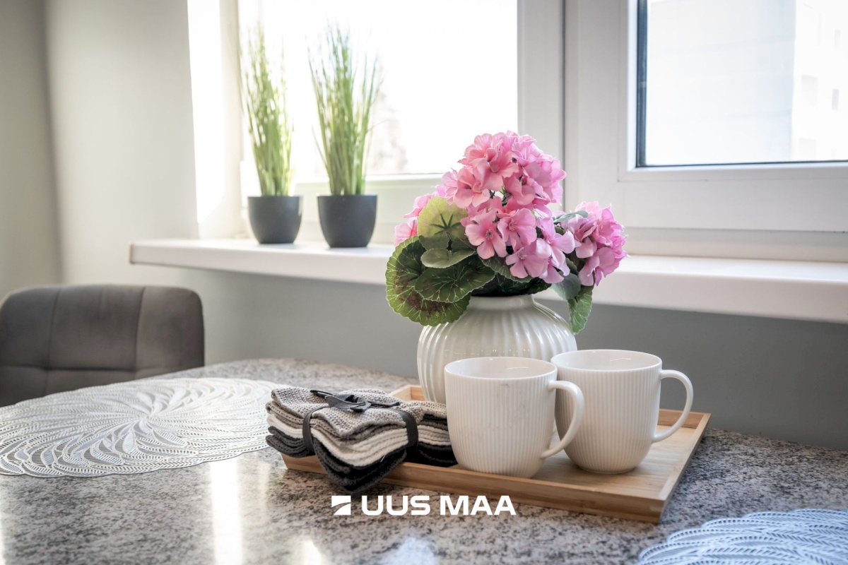 Tallinn, Haabersti linnaosa, Paldiski mnt 161