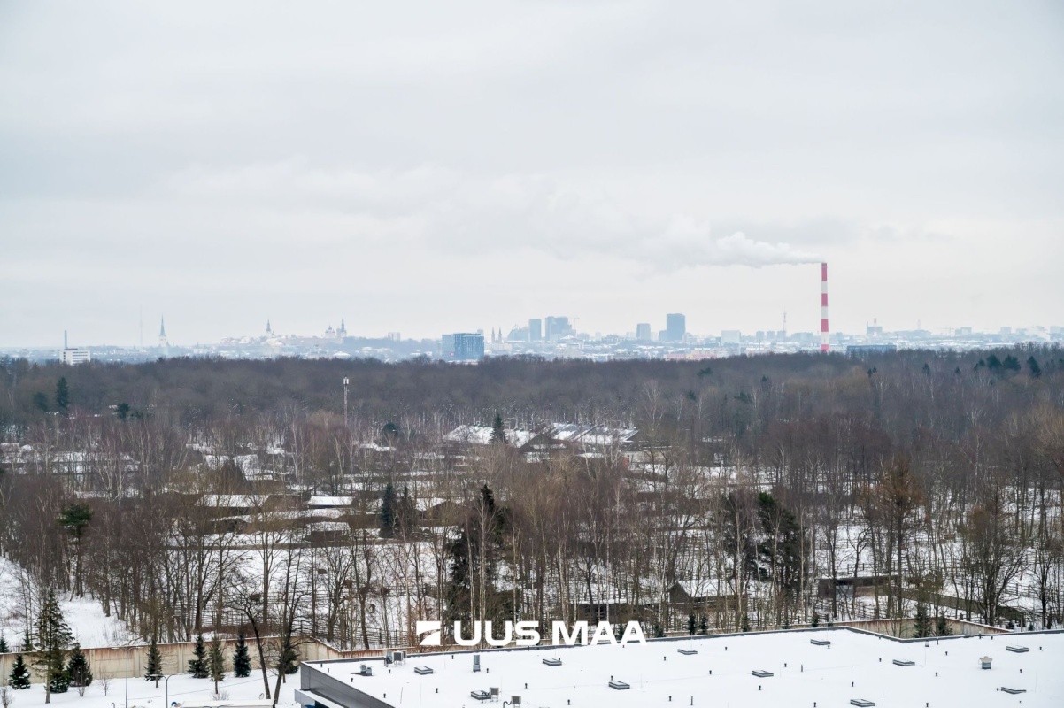 Tallinn, Haabersti linnaosa, Päevalille 3