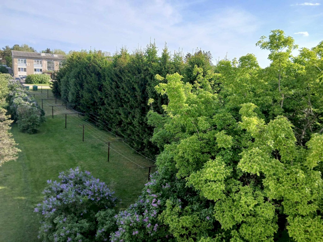 Põhja-Pärnumaa vald, Vahenurme küla, Vahenurme keskus 7