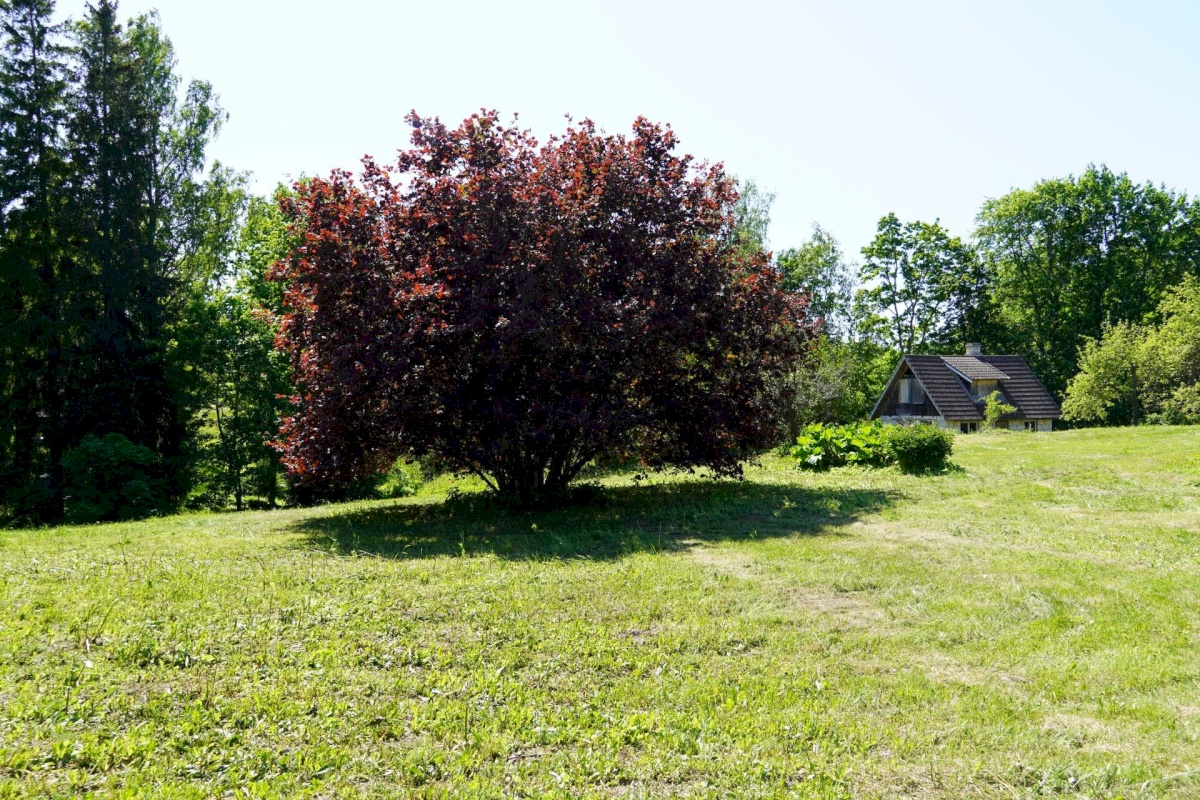 Võru vald, Meeliku küla, Ojavete