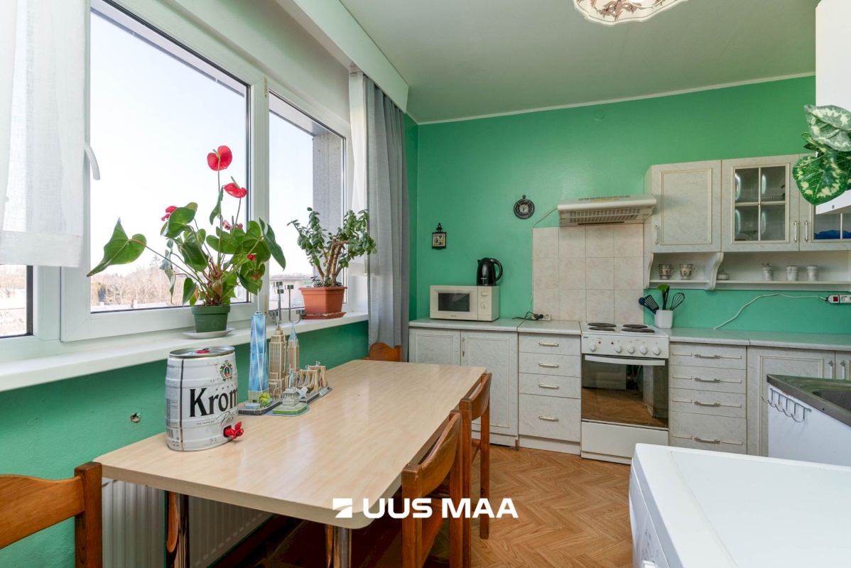 Mulgi vald, Abja-Paluoja linn, Nuia tee 3