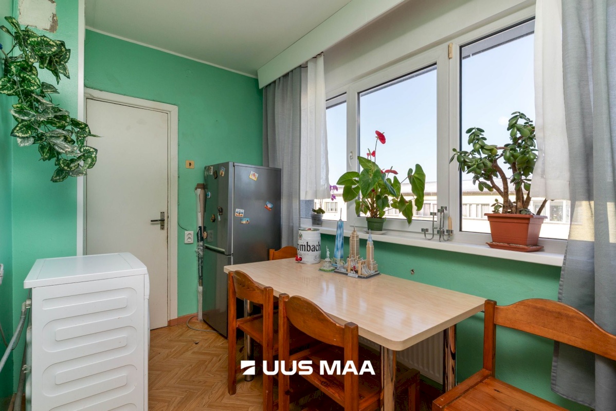 Mulgi vald, Abja-Paluoja linn, Nuia tee 3