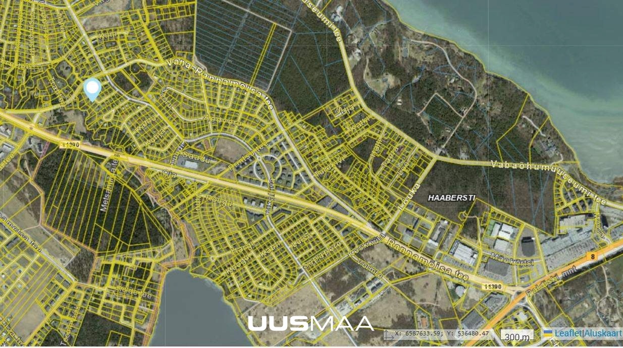 Tallinn, Haabersti linnaosa, Kurmu tn