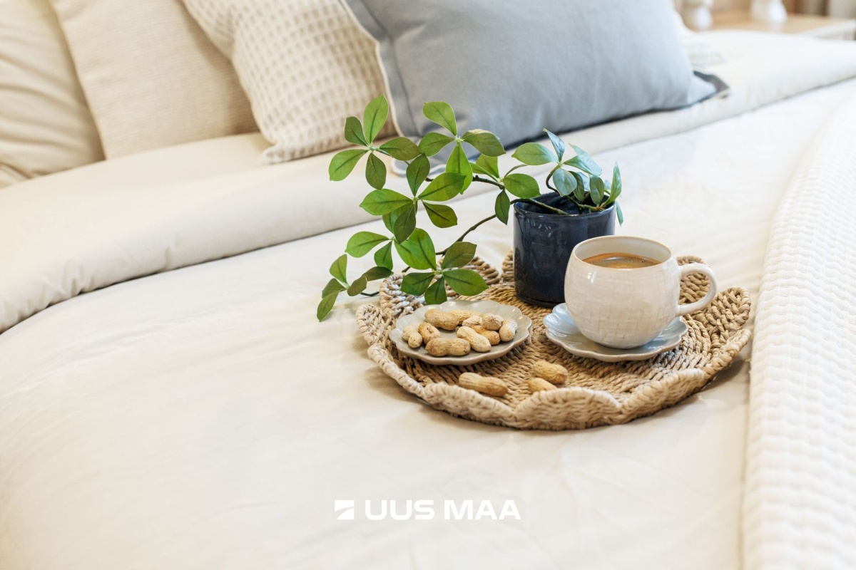 Tallinn, Põhja-Tallinna linnaosa, Kalamaja, Kotzebue 20