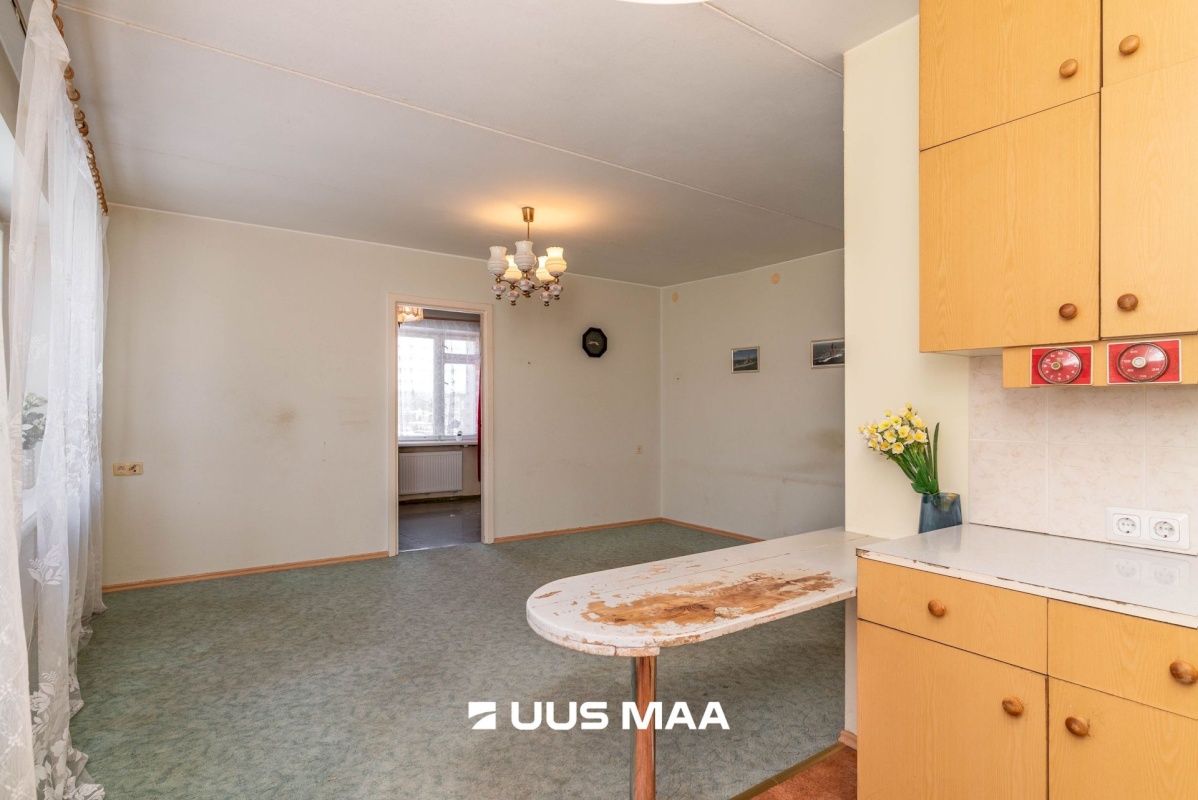 Viljandi linn, Paalalinn, Kagu tn 6a