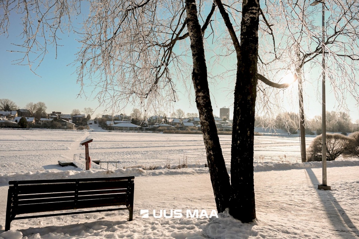 Viljandi linn, Paalalinn, Kagu tn 6a