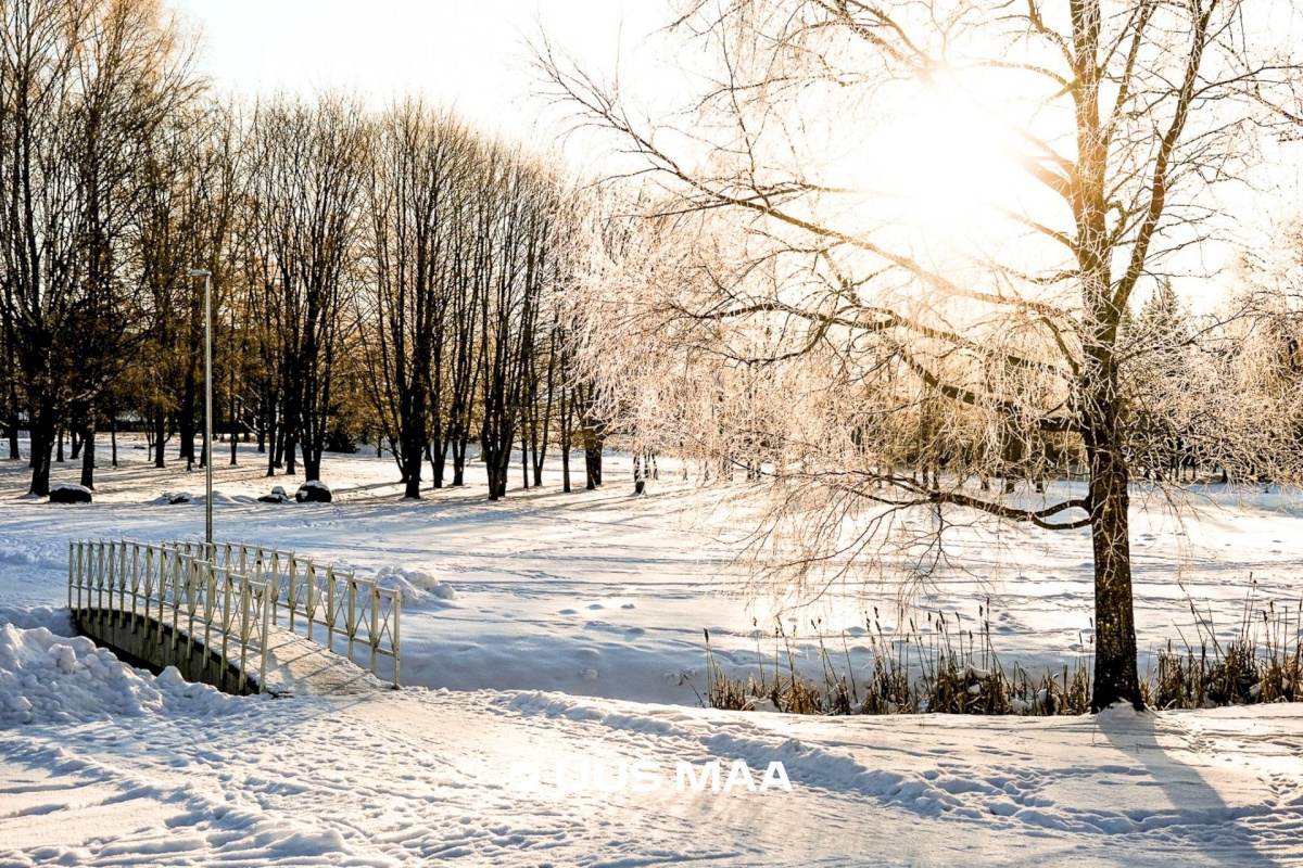 Viljandi linn, Paalalinn, Kagu tn 6a