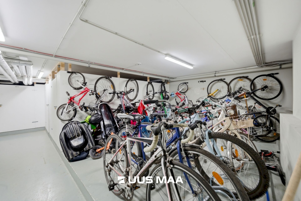 Tallinn, Põhja-Tallinna linnaosa, Kalamaja, Kotzebue 14