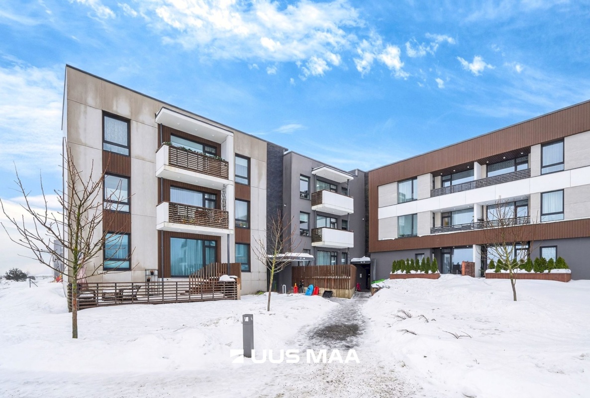 Saue vald, Saue linn, Kuuseheki 50