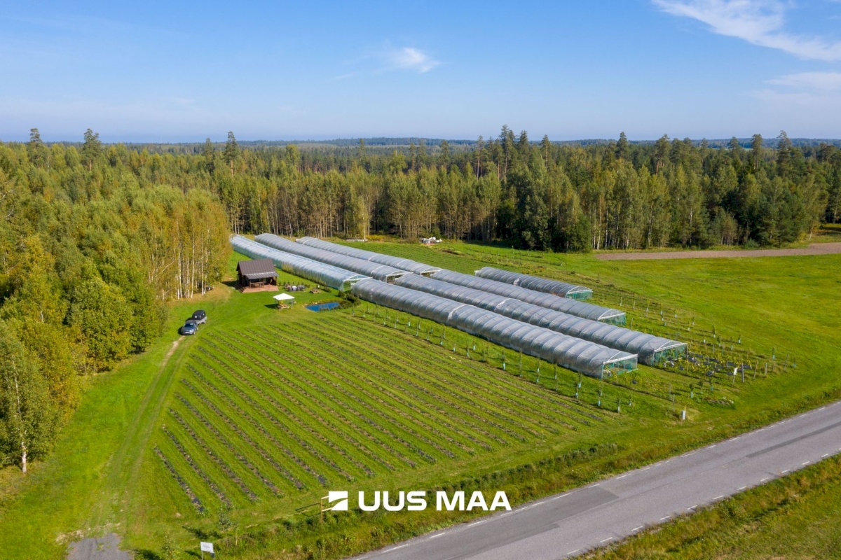 Võru vald, Kärgula küla