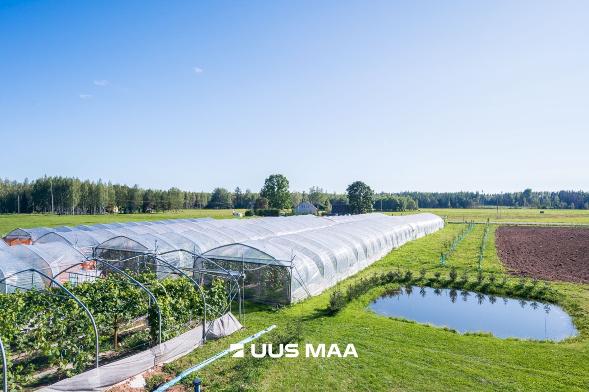 Võru vald, Kärgula küla