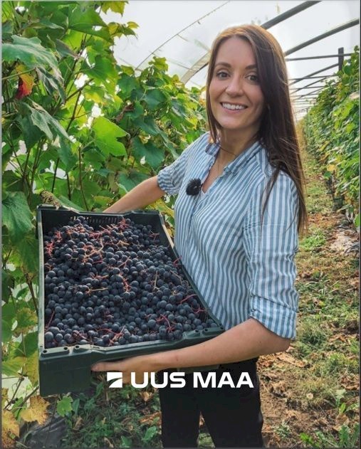 Võru vald, Kärgula küla