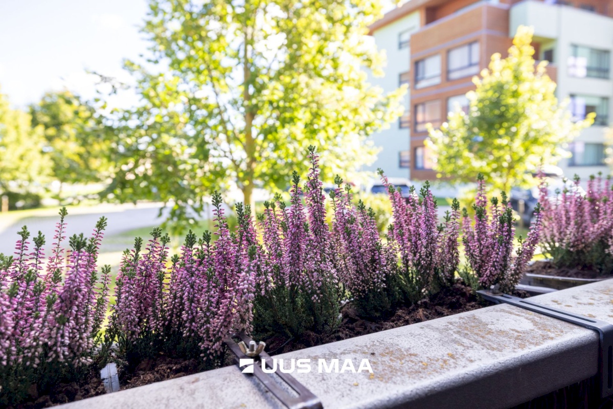 Rae vald, Järveküla, Kaare tee 1/2