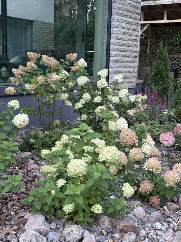 Tallinn, Pirita linnaosa, Andrekse tee 38