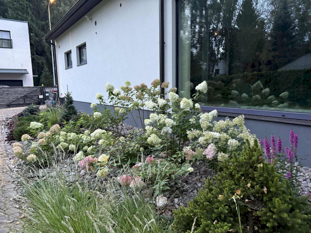 Tallinn, Pirita linnaosa, Andrekse tee 38