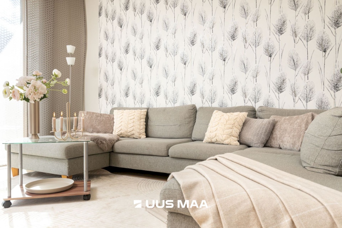 Saue vald, Ääsmäe küla, Salu 9a