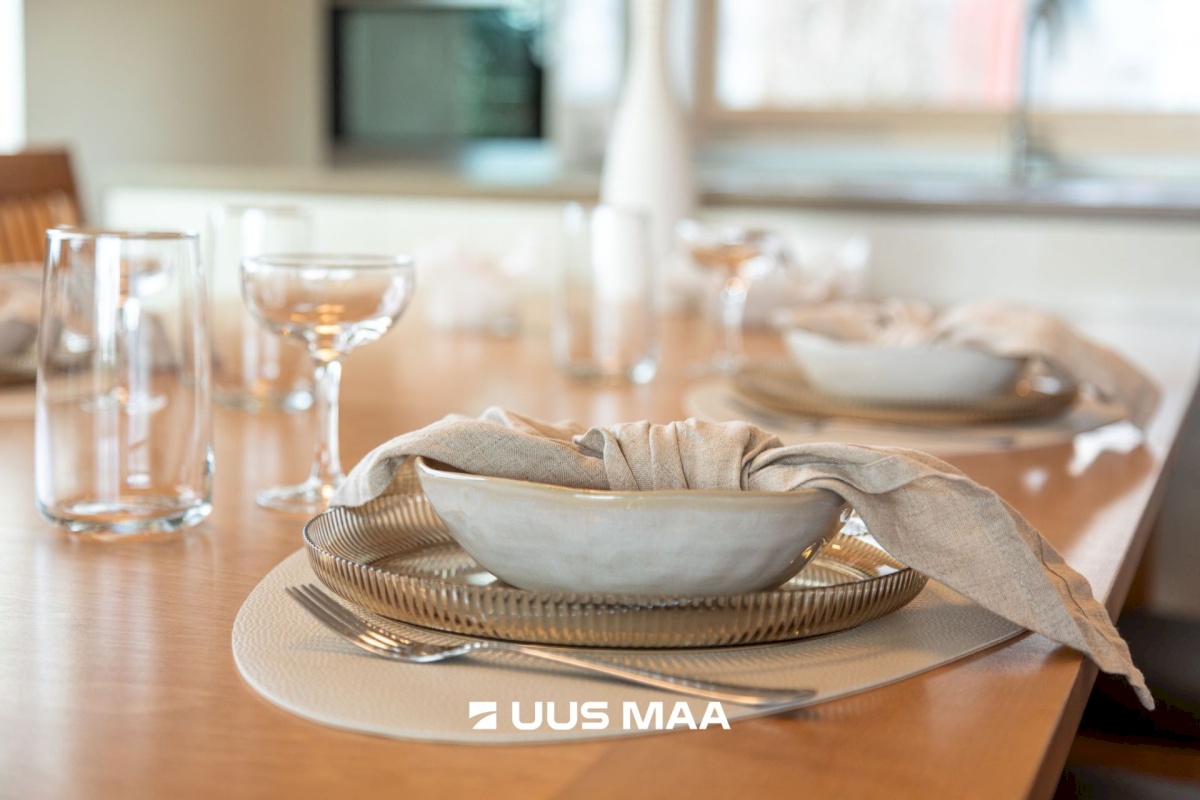 Saue vald, Ääsmäe küla, Salu 9a