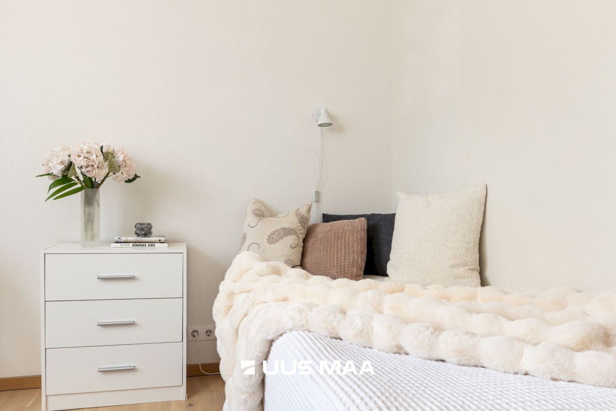 Saue vald, Ääsmäe küla, Salu 9a