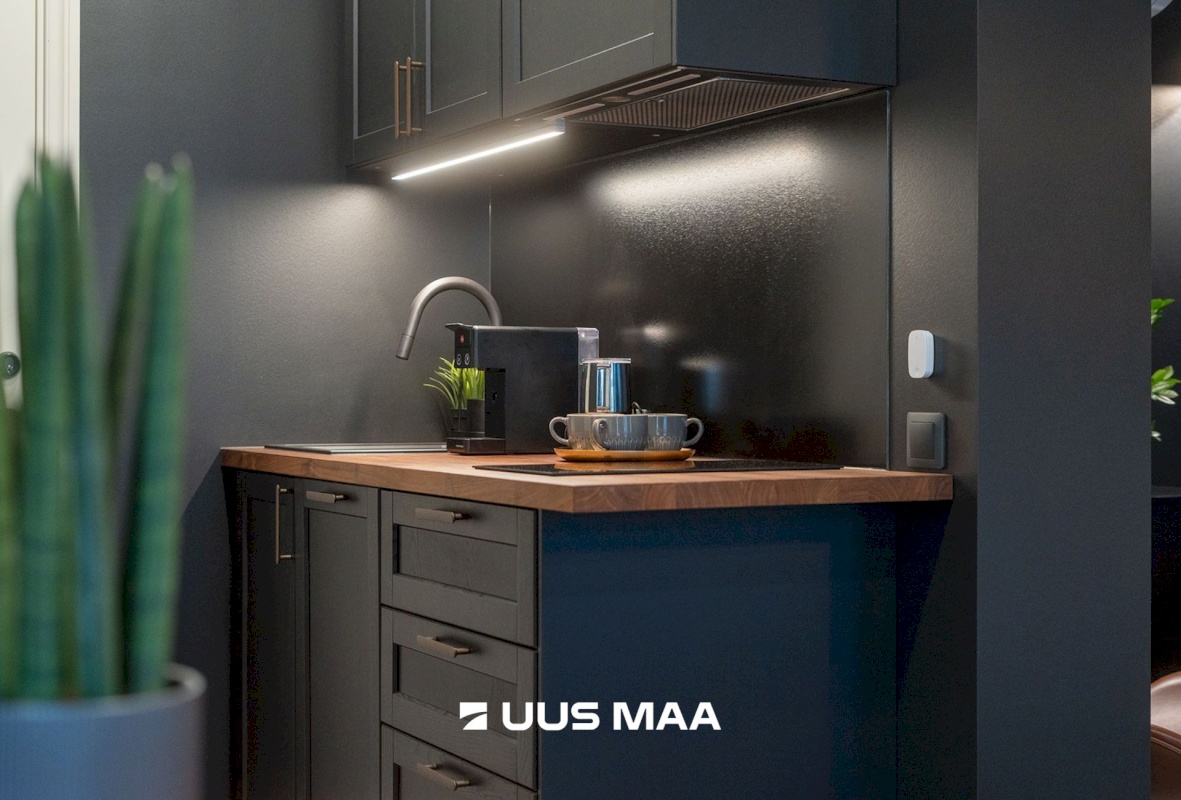 Haapsalu linn, Haapsalu linn, Uus tn 21