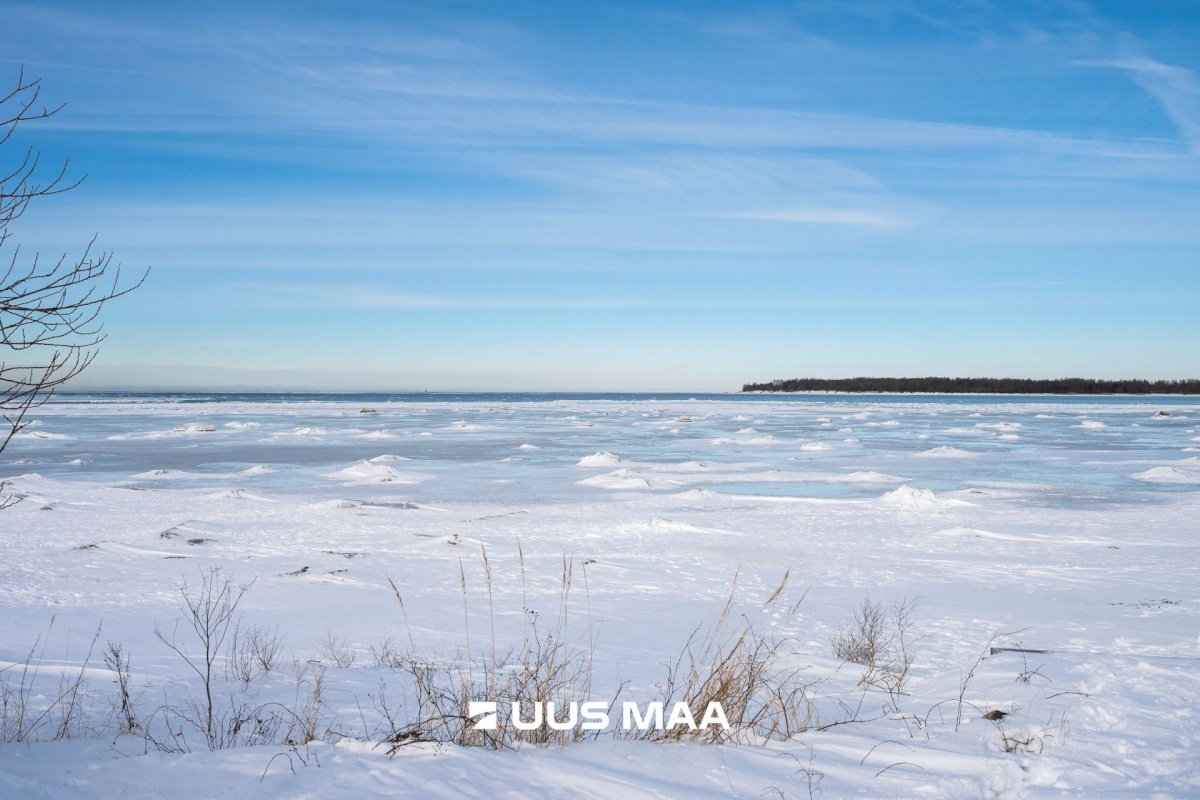 Tallinn, Põhja-Tallinna linnaosa, Sepa 28